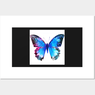 Blue Butterly Posters and Art